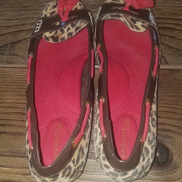 Sperry Flats - Picture 5 of 6